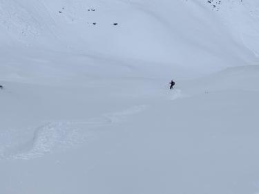 Here come the sun king