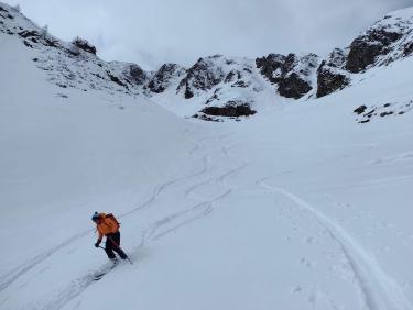 Here come the sun king