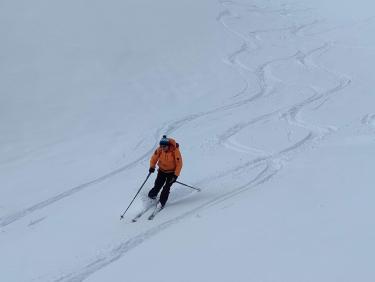 Here come the sun king