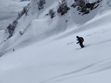 Here come the sun king