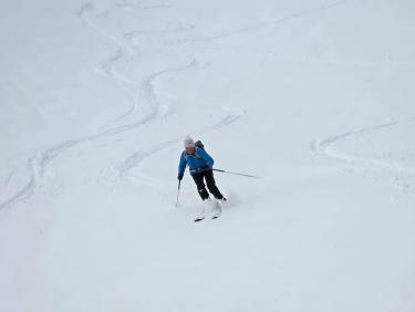 Here come the sun king