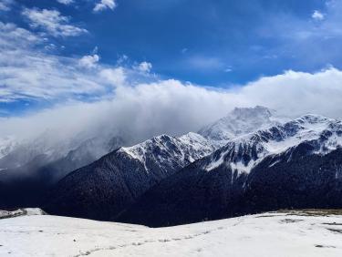 Here come the sun king