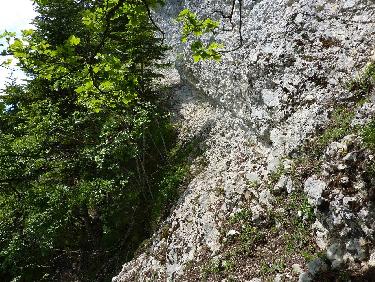 Heureusement que la vÃ©gÃ©tation cache ce qu&apos;il y a en-dessous...