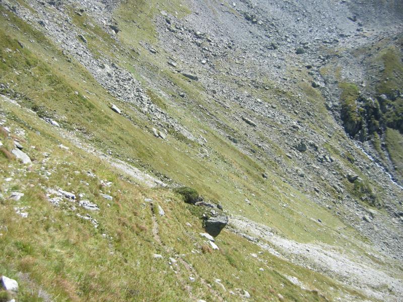 Pentes au dessus du sentier du Col de la Croix