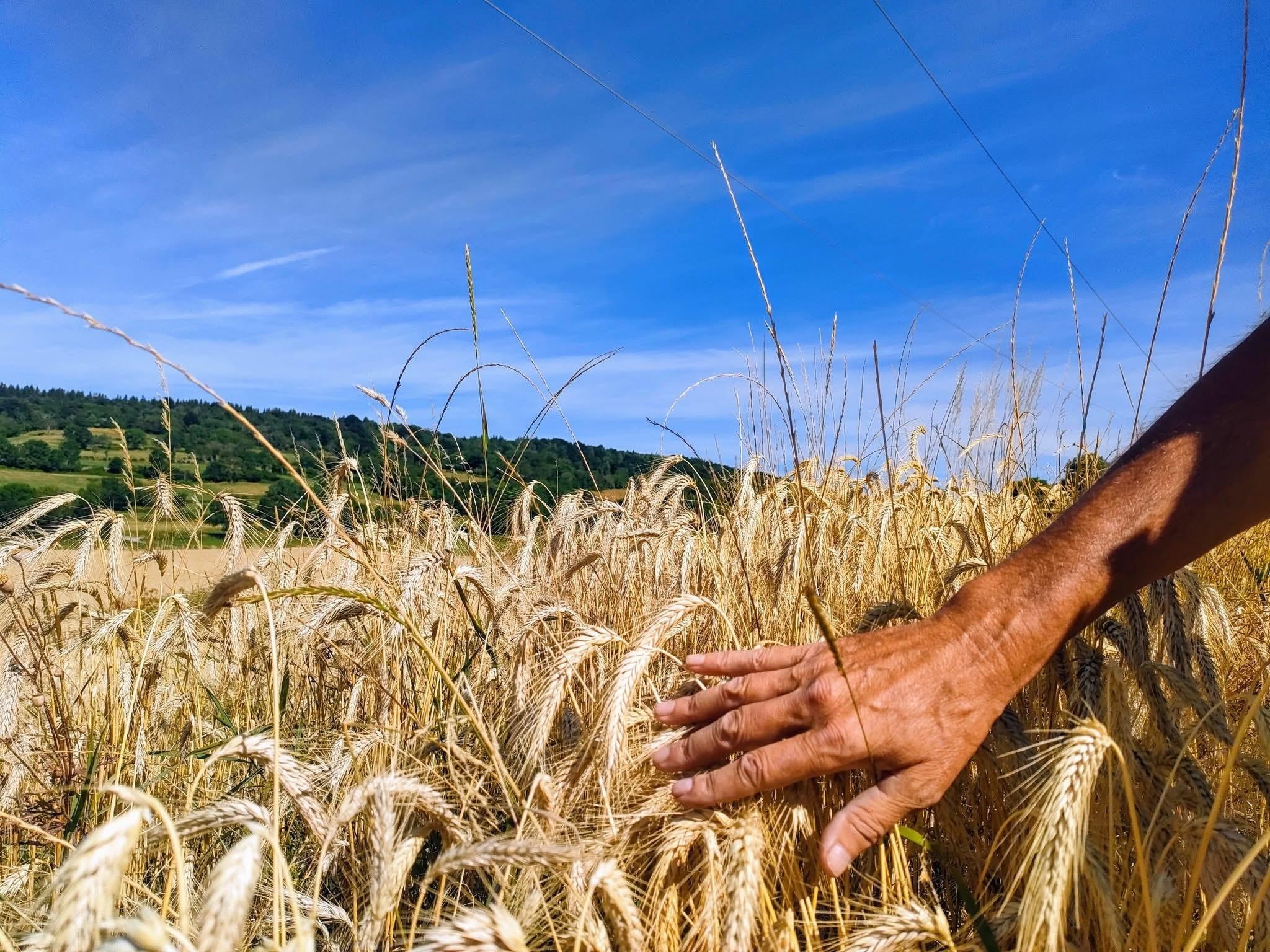 Hostile ou pacifique ? 
