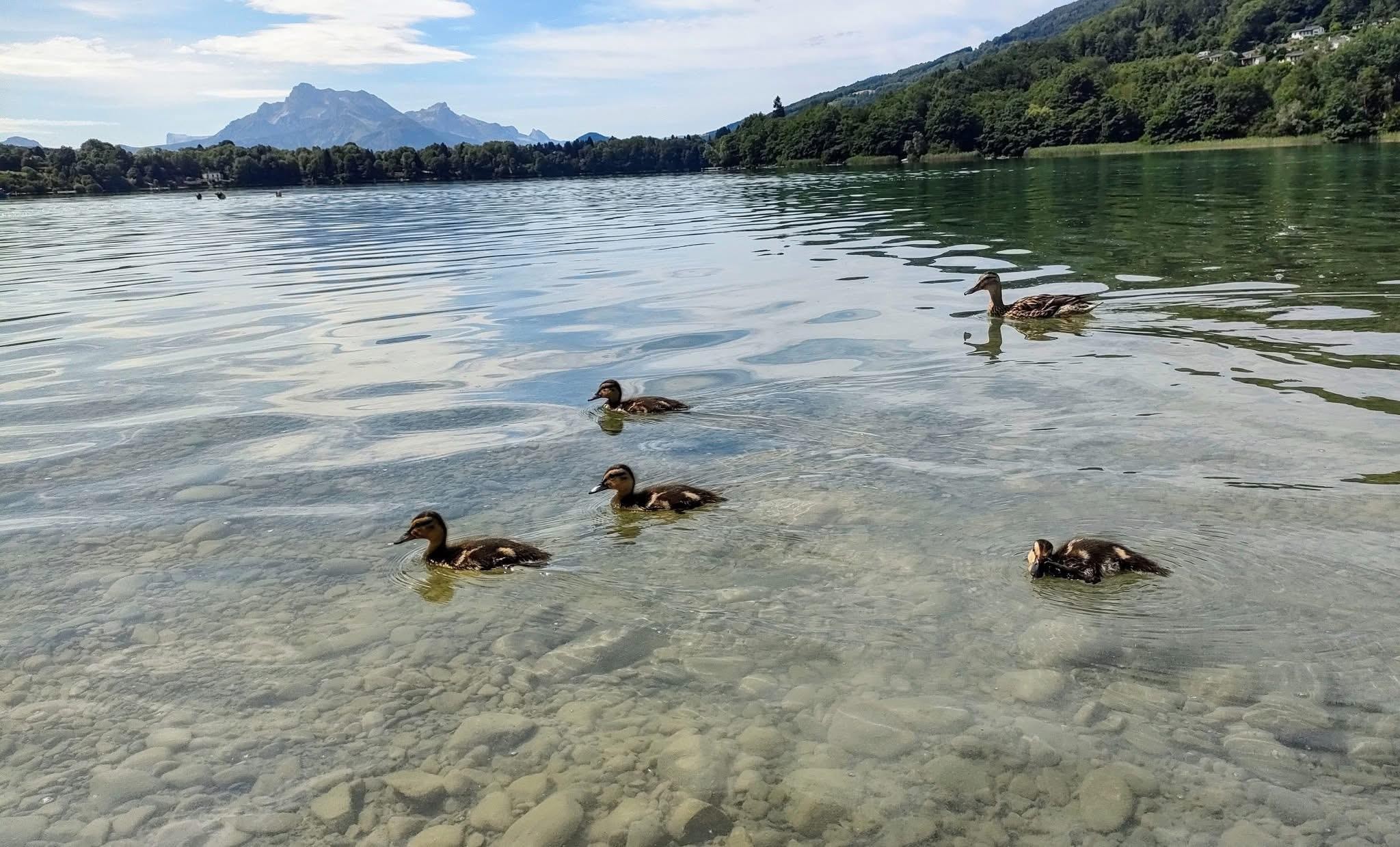 Hostile ou pacifique ? 