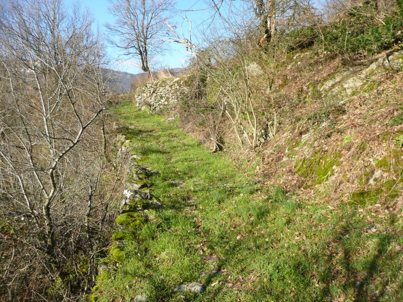 Beau sentier qui démarre depuis la vallée