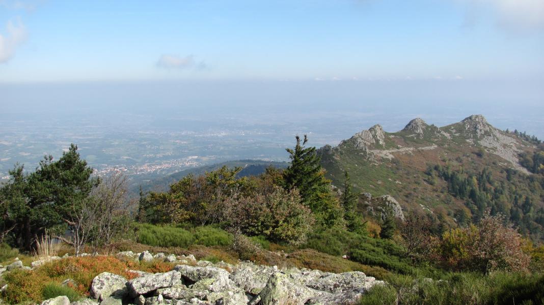 Il ya bien 3 dents ....