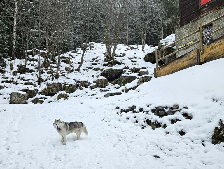 Cerro - cascade du Dard depuis le chalet