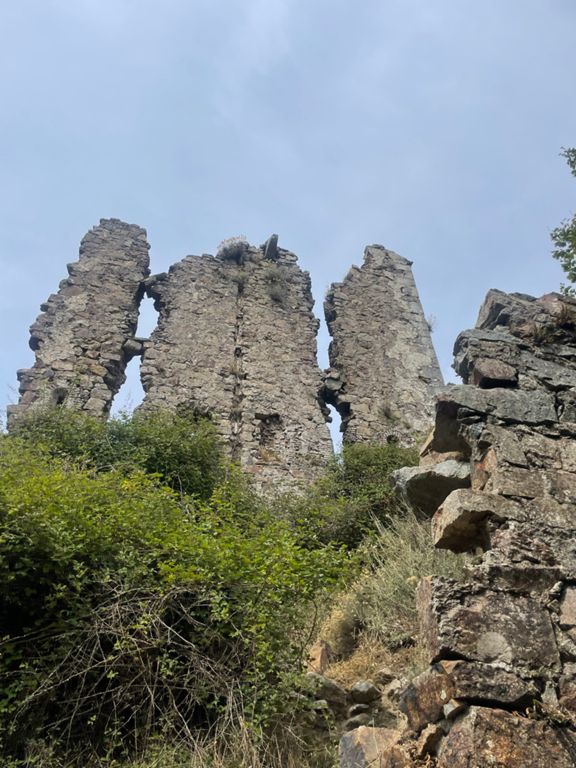 Dans les vasques des anglais !