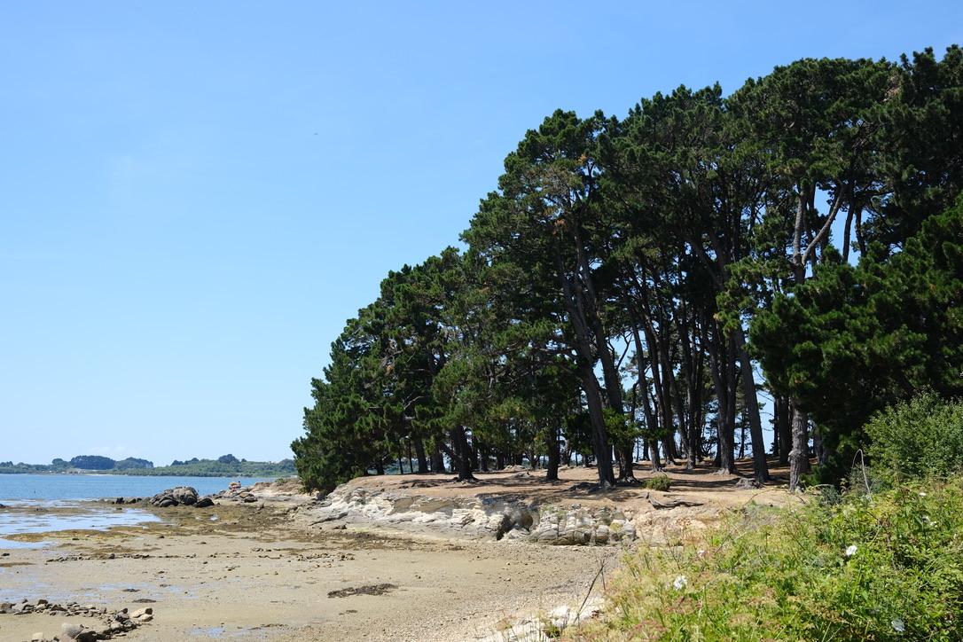 Île aux Moines
