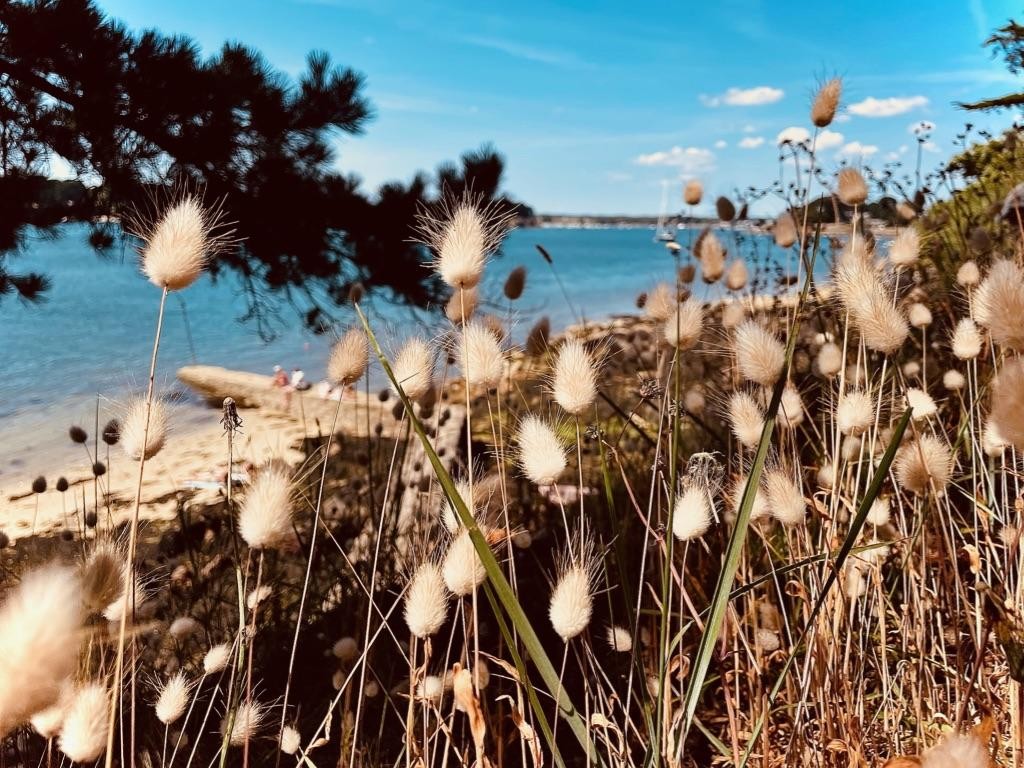 Île aux Moines