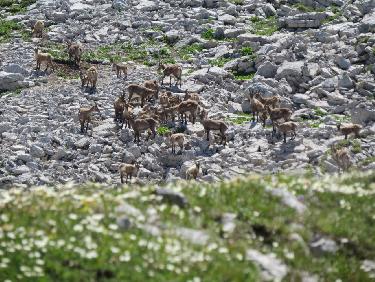 circuit col vert pas de l&apos;oeille et col des deux Soeurs