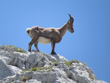 circuit col vert pas de l&apos;oeille et col des deux Soeurs