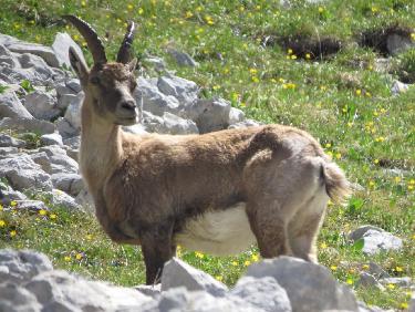 circuit col vert pas de l&apos;oeille et col des deux Soeurs