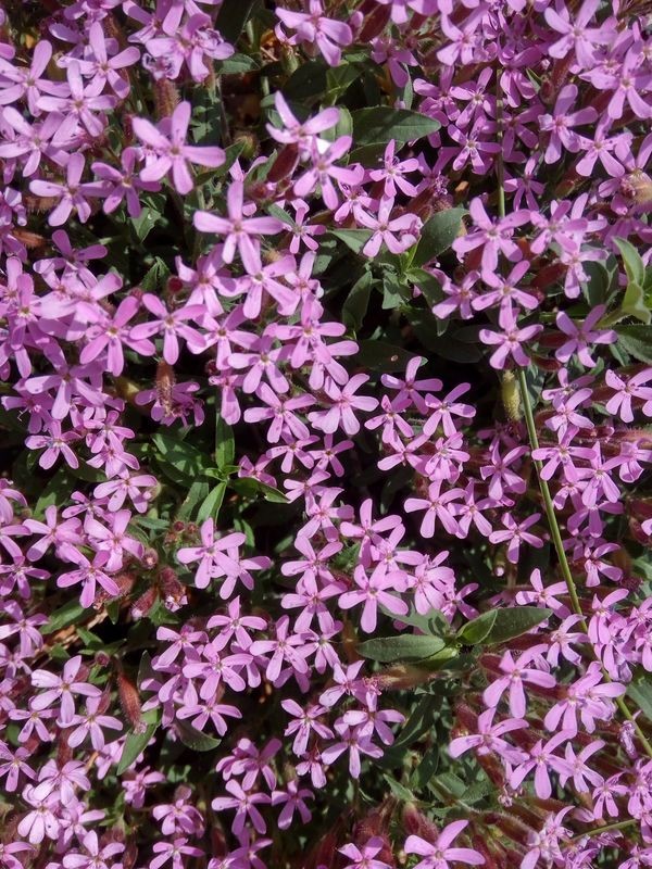 img_20180506_110527_2