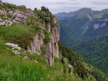 IMG_20180610_105229_2r