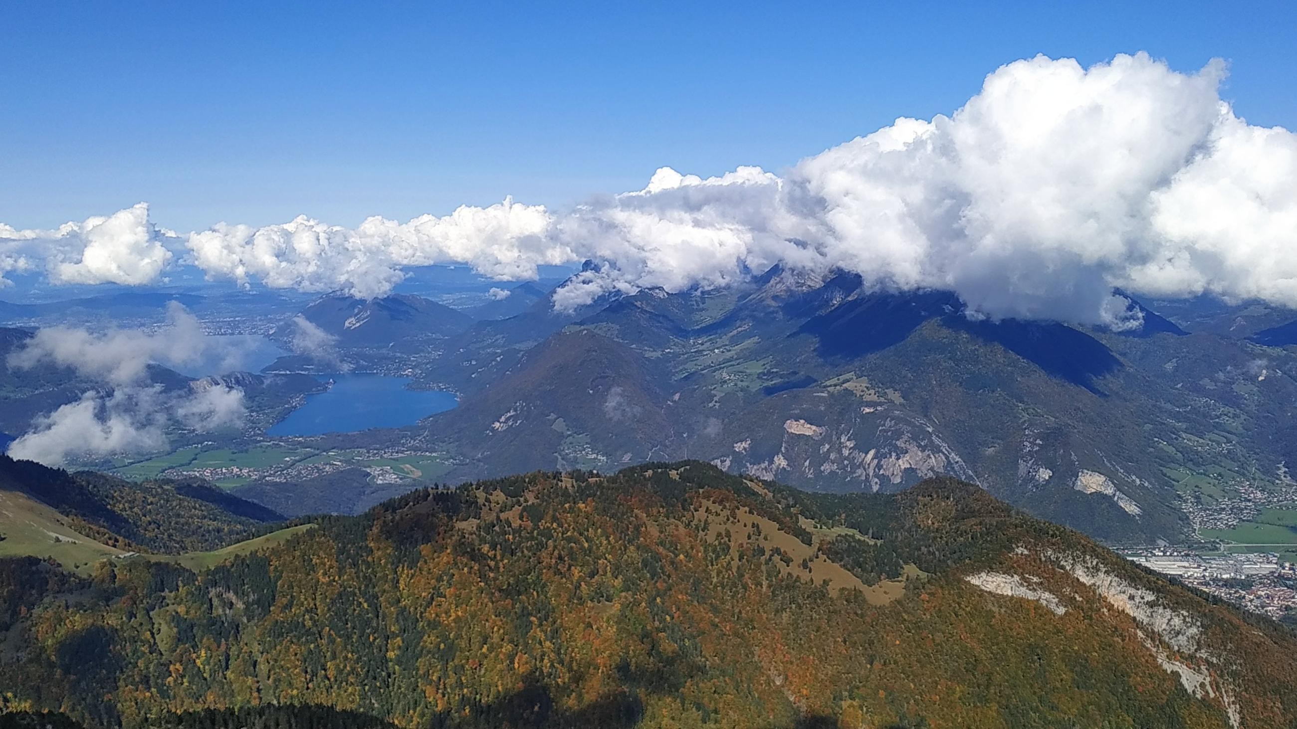 IMG_20241011_133211[1]