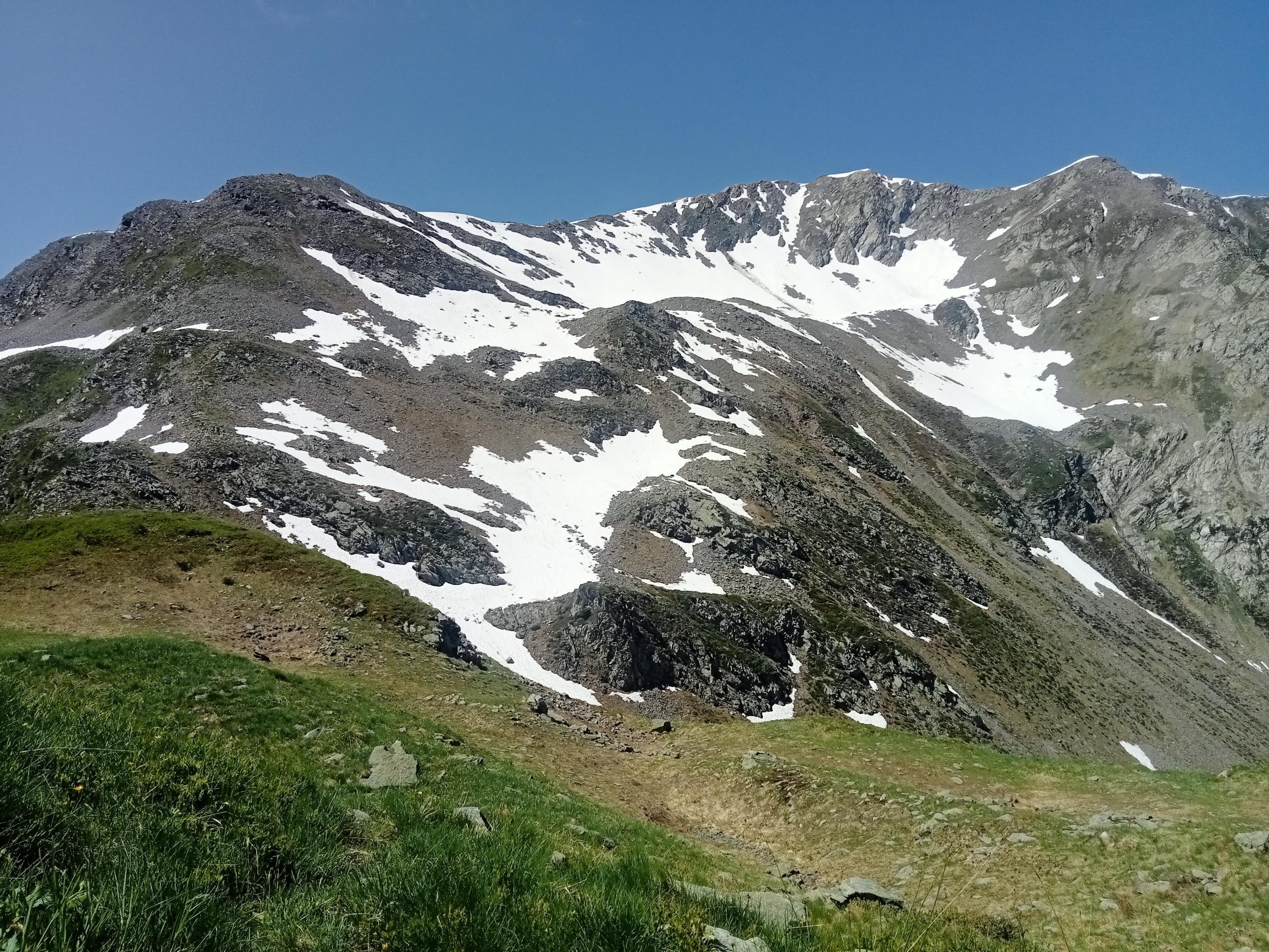 IMG20250617115941
