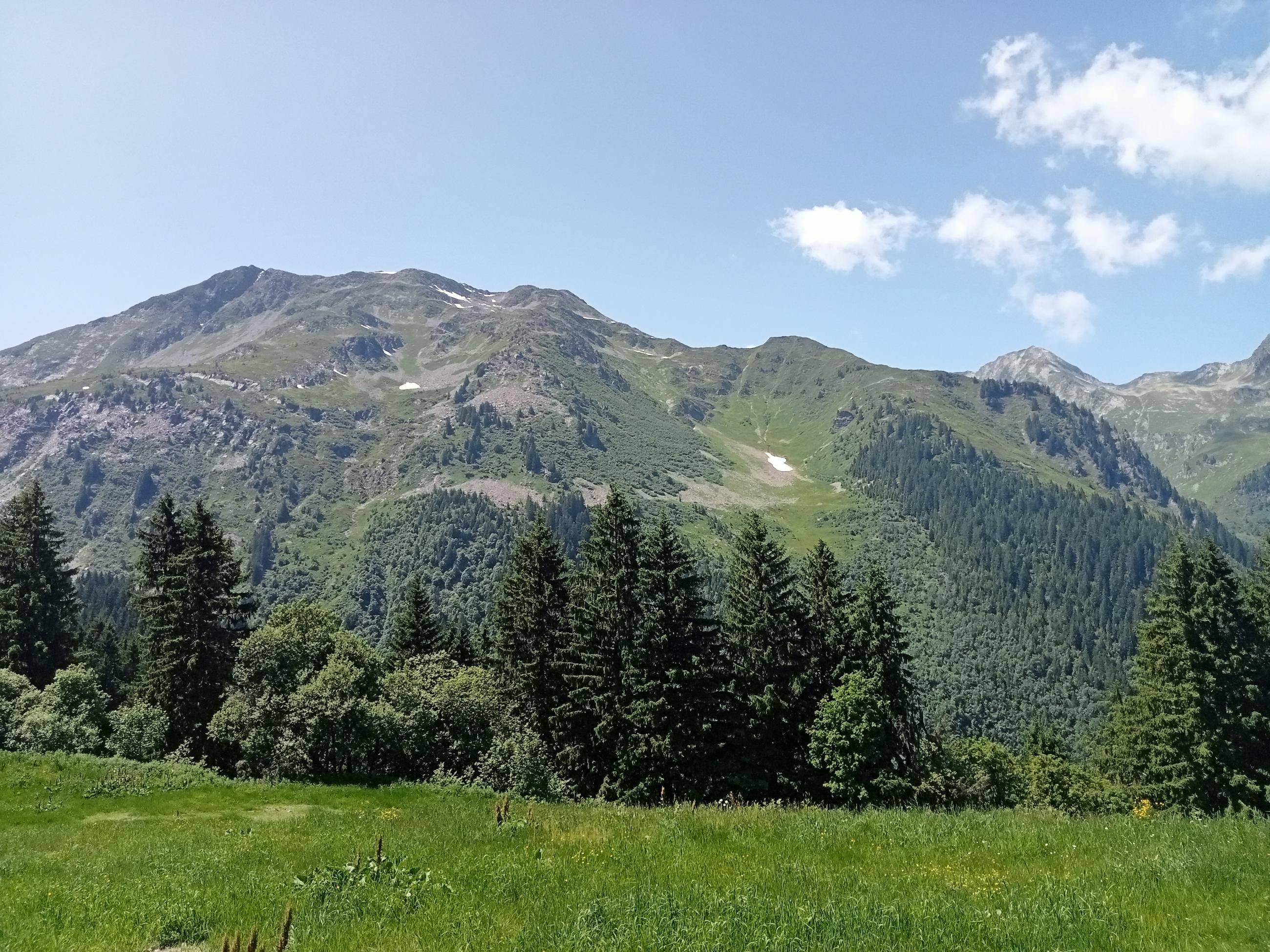 IMG20250617143258