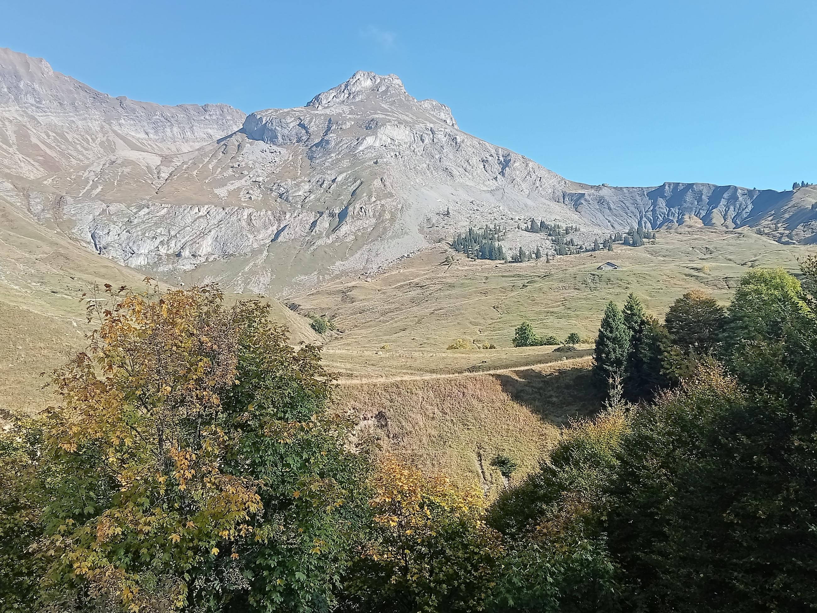 IMG20251002102237