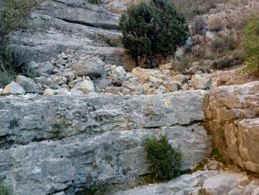 Rocher du Caire et Rocher de St Auban depuis Rémuzat