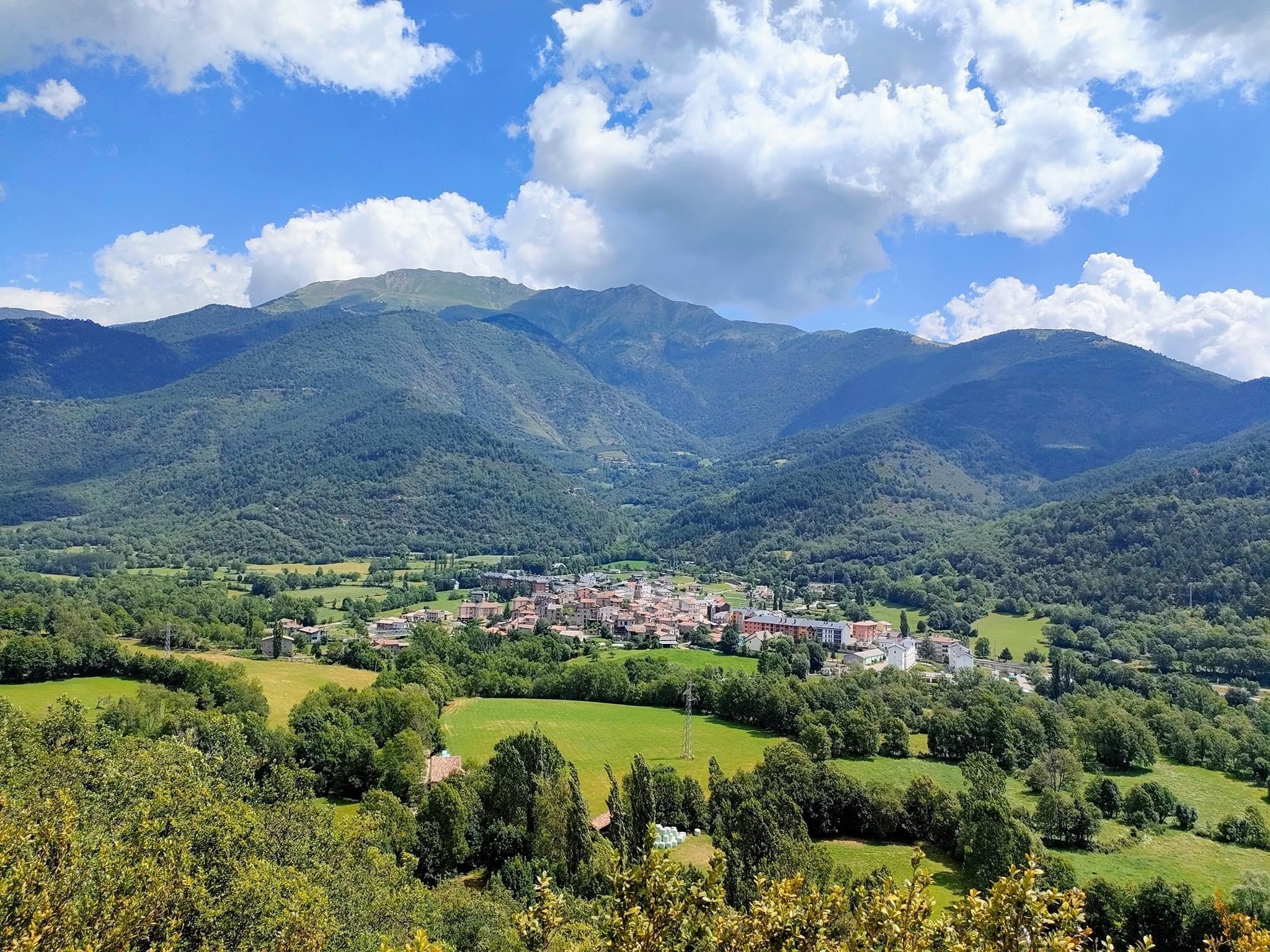 IMG_5388.