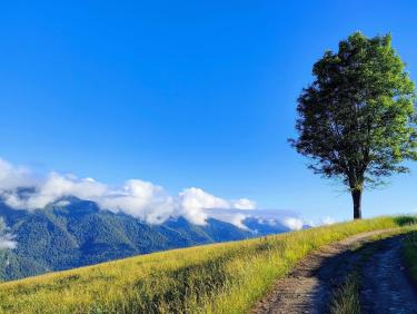 Immense est le monde ! 