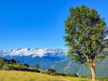 Immense est le monde ! 