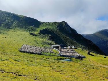 Immense est le monde ! 