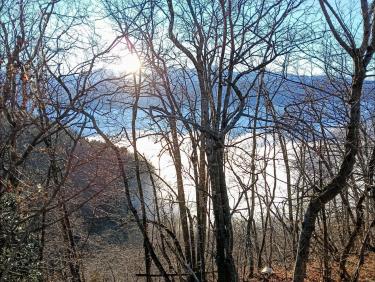 Immense est le monde