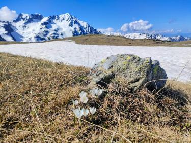 Impressions népalaises