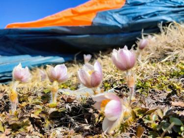 Impressions népalaises