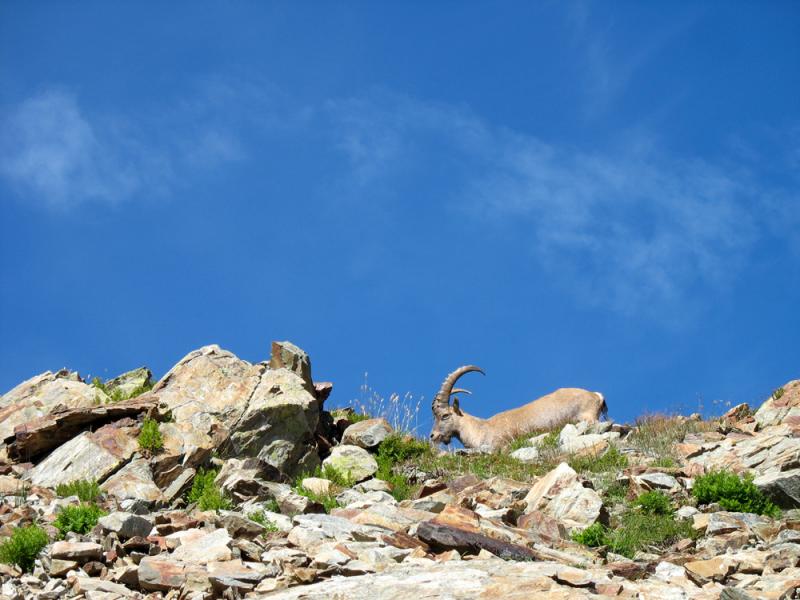 Je vous attend à la sortie du col!