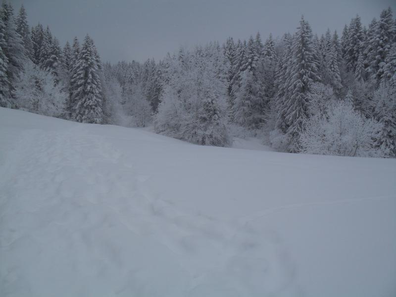 Jolie prairie