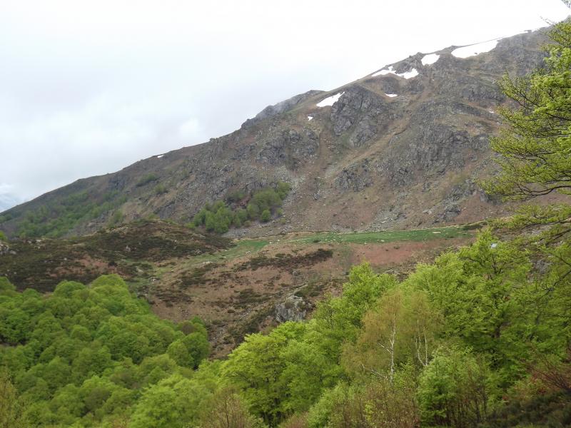 jasse de sédars