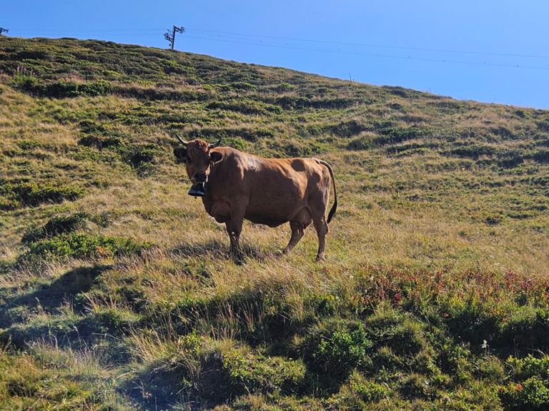 Boucle au dessus de Charamillon