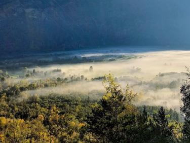 Je marche donc je suis !