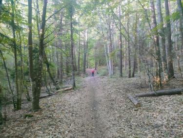 Je marche donc je suis !