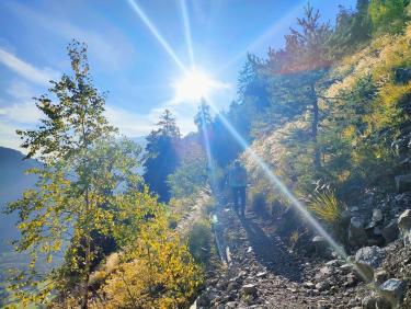 Je marche donc je suis !