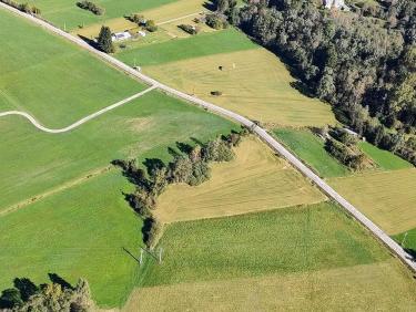 Je marche donc je suis !