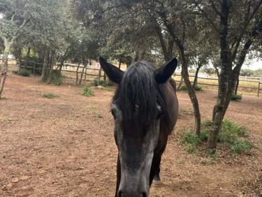 Quand ça veut pas ! Ça veut pas —- 8000 D+ trail et 20 000 toutes activités quand même validés!