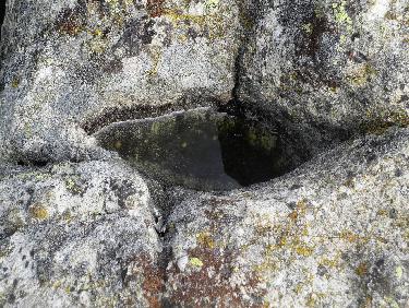 Joanabel 3, la cupule en amande