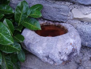 joli petit BÃ©nitier