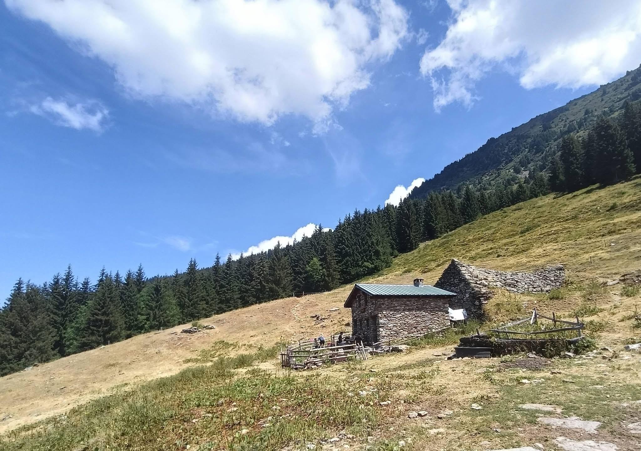 Joli refuge