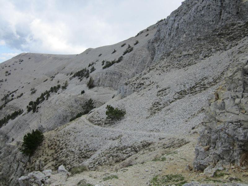 joli sentier....vers FonFiole??