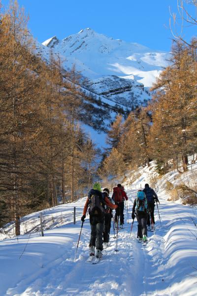 jolie haie d'honneur