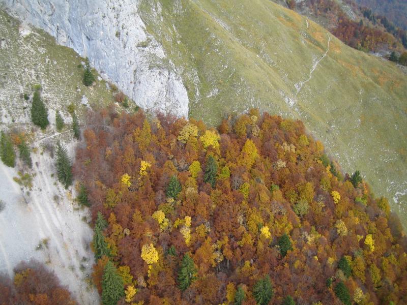 jolies couleurs