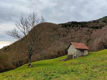 Juste le tour du Rocher de l'Eperrimont