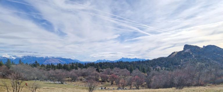 Balade & pique-nique aux ramées avec les copains !